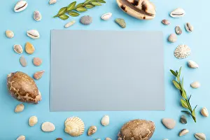 Pastel Color Decorative Item Prints: Composition with gray paper sheet