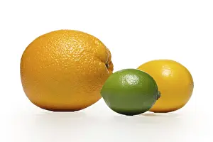 Fresh Citrus Fruits Prints: The composition of lemon, lime and orange on a white background with shadow