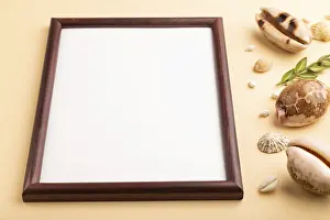 Green Boxwood Arrangement Prints: Composition with wooden frame, seashells
