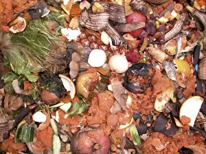 Vegetable Garden Prints: Compost
