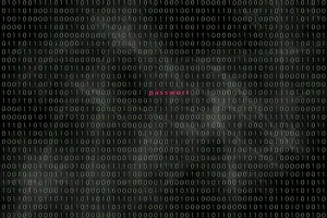 Electronic Communication Network Prints: Computer matrix with word security
