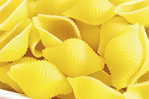 Full Frame Food Photos Prints: Conchiglie, uncooked