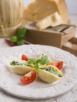 Italian Pasta Dish Prints: Conchiglioni