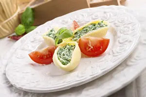 Italian Pasta Dish Prints: Conchiglioni