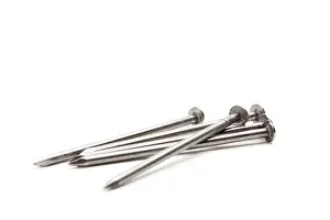 Construction Site Equipment Prints: Construction nails isolated on a white background