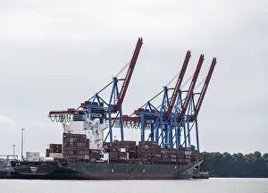 Container Ship Hamburg Prints: Container ship, loading cranes and stacks of containers
