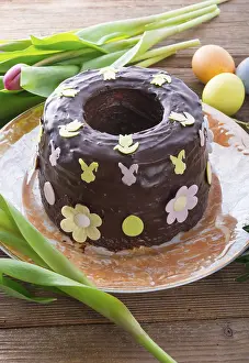 Baked Goods Prints: The cooked Babka (cake)