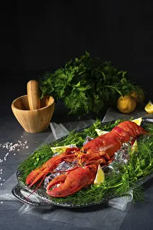Appetizing Seafood Dishes Prints: The cooked lobster on ice