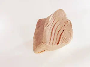 Studio Background Cuisine Prints: Cooked tuna