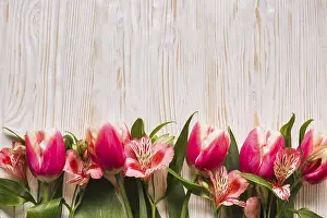 Spring Blooming Flowers Prints: Copy space tulips table