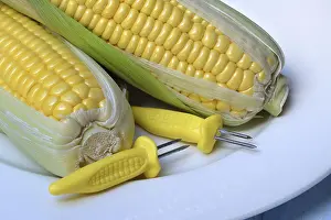 Studio Shot Of Corn Prints: Corn corn cob and corn cob holder on plate