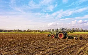 Agricultural Crop Prints: Corn harvest