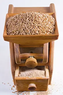 Balanced Diet Staple Food Prints: Corn mill with wheat