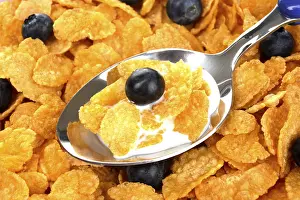 Studio Background Food Photo Prints: Cornflakes with blueberries