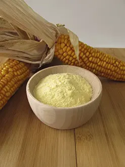 Corn Cob Images Prints: Cornflour