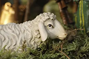 Nativity Prints: Cot Figurine Print: Sheep