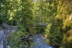 Baden Wurttemberg Waterfront Scene Prints: Course of the river Enz with bridge