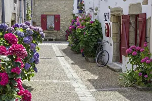 French Historic Architecture Prints: Courtyard with flowers, hydrangeas