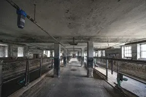 Post War Era German Democratic Republic Prints: Empty cowshed of a former LPG of the GDR