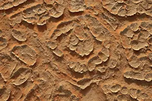 Sahara Desert Landscape Prints: Cracked mud patterns on the playa