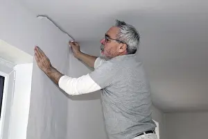 Construction Site Laborer Prints: Craftsman (painter) for wallpapering work