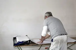 Construction Site Laborer Prints: Craftsman (painter) for wallpapering work