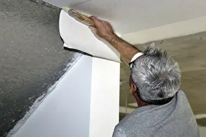 Construction Site Laborer Prints: Craftsman (painter) for wallpapering work