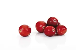 American Cranberry Fruit Prints: Cranberries