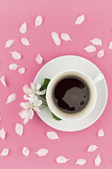 Pastel Pink Background Image Prints: Creative flat lay concept top view of coffee cup