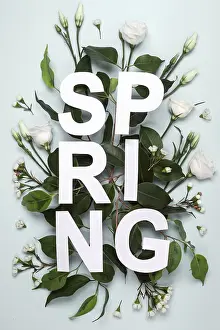 Symbolic Picture Meaning Prints: Creative layout from Paper word Spring