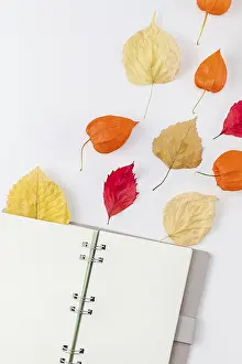White Background Copy Space Prints: Creative Top view flat lay autumn composition