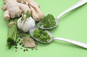 Fresh Ginger Prints: Culinary herbs and spices, ginger
