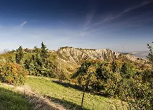 Emilia Romagna Landscape Prints: Cultivated fields of red