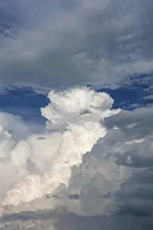 Cloudy Atmosphere Pictures Prints: Cumulus clouds