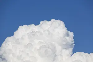 Cumulus Clouds Prints: Cumulus Clouds