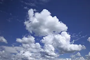 Cumulus Clouds Prints: Cumulus clouds