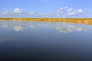 Lower Saxony Germany Landscape Prints: Cumulus clouds reflected in water