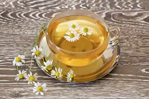Alternative Medicine Prints: Cup of Herbal Tea Print with Fresh Chamomile