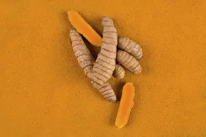 Medicinal Plant Pictures Prints: Curcumin root and turmeric spice background from above