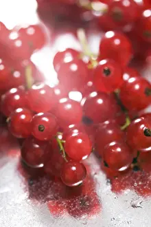 Red Currants Prints: Currants
