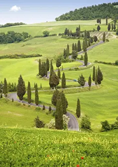 Hilly Landscape Photography Prints: Full of curves