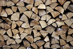 Wood Pile Storage Prints: Cut firewood stack logs as pattern background