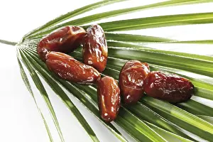 Studio Fruit Photography Prints: Dates
