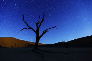 Framed Print : Dead Tree Print: Deadvlei Landscape Framed Print : Dead Tree Print: Deadvlei Landscape