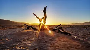 Dead Tree In Namib Desert Prints: Dead tree, sunset, Sossusvlei, Namibia