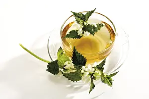 Herbal Tea Cup Prints: Deadnettle tea, teacup