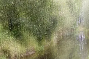 Long Time Exposure Photography Prints: Deciduous forest on a stream, blurred