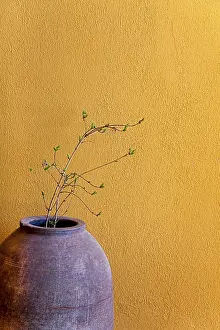 Deserted Studio Prints: Decoration