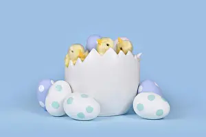Holiday Gift Ideas Prints: Decorative chicken in large egg shell with painted Easter eggs in front of blue background