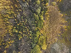 Wilderness Exploration Prints: Default